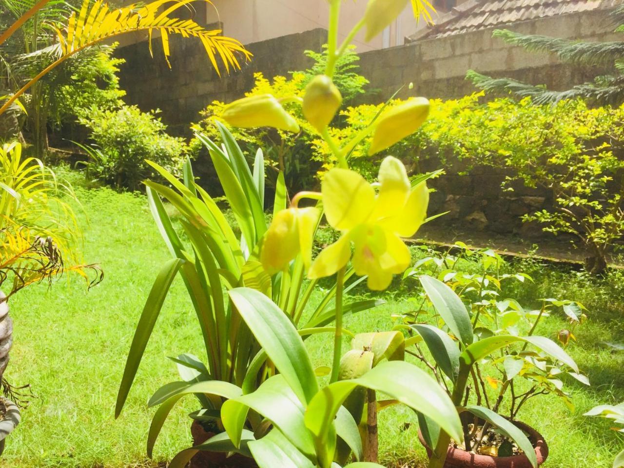 Ganesh House Homestay Kovalam Exterior photo